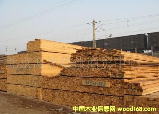 ľ��4��9��5��8