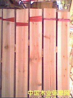 ��ĸ��Ԕ��(x��)��B