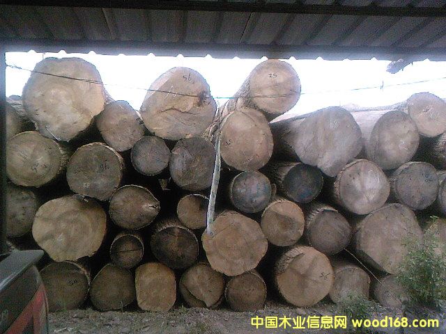 ˮ����1��Ԕ����B