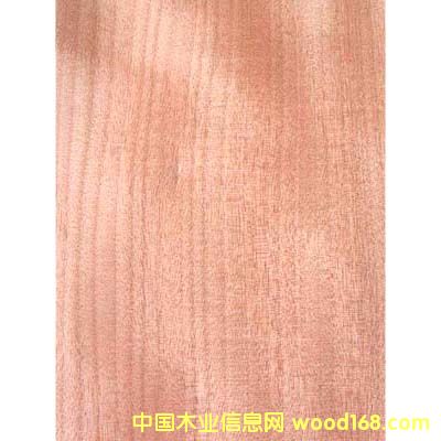 �t���ҵ�Ԕ����B