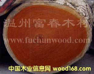 ���޼t�����Ԕ��(x��)��B