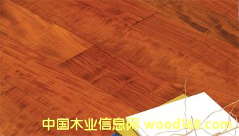 �OƷ����Ӱ��Ԕ��(x��)��B