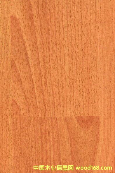 ���n����Ԕ����B