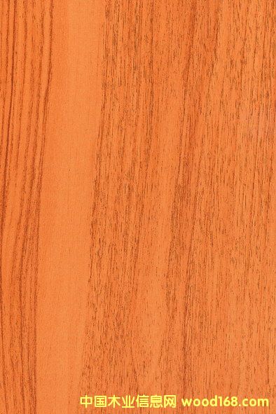 ���n����Ԕ����B