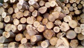 ܛ����Ԕ����B