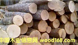 �t���Ԕ����B