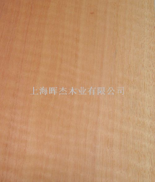 �tӰ ľƤ��Ԕ����B