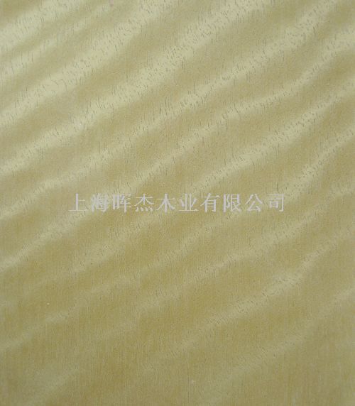 ��Ӱ ľƤ��Ԕ����B