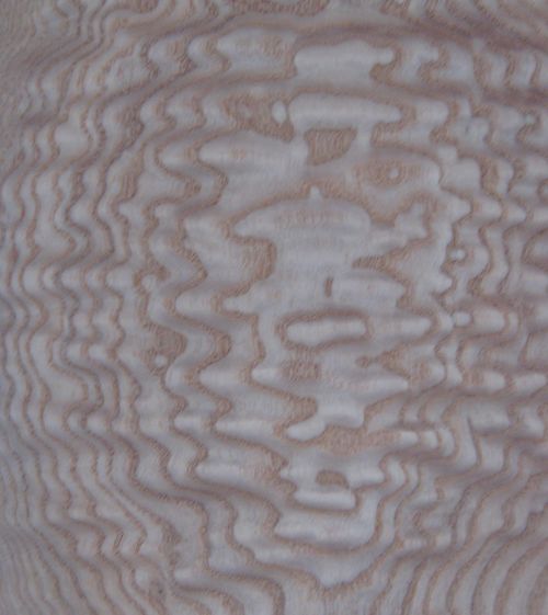 ��Ӱˮ����