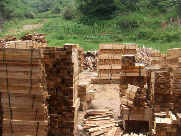 ľ�İ��Ʒ�ٹ�ĺ�ɲ�