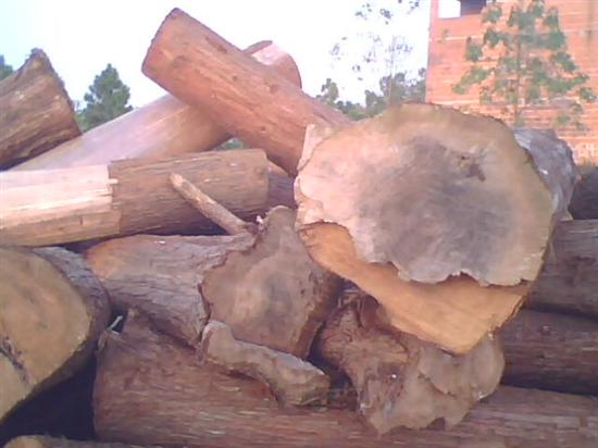 ľ�^��Ԕ����B