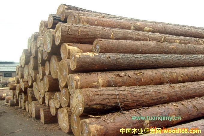 ��(y��u)�|(zh��)Խ�����V����ľ����(y��ng)13097750139