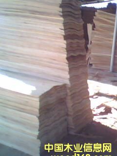 ��ľԭ���Ԕ����B