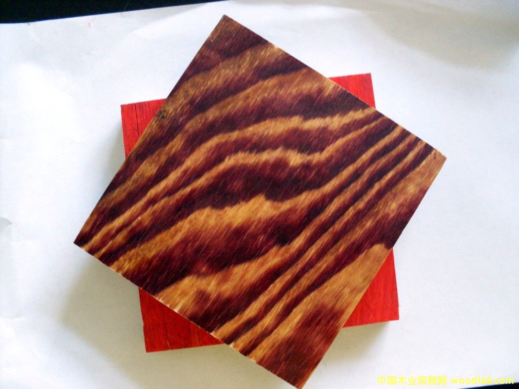 ����ģ���Ԕ��(x��)��B