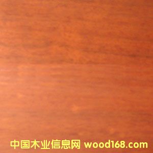 ��������Ԕ����B