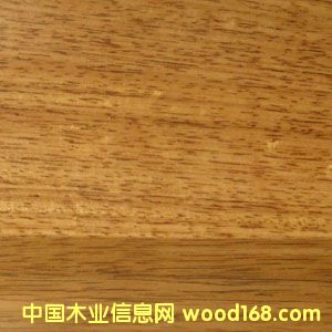 �wƤ�����Ԕ����B