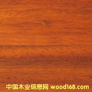 �A�P����Ԕ����B