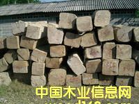 ������ľ��Ԕ��(x��)��B