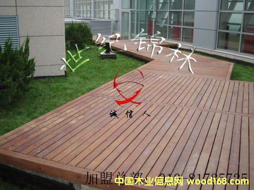 Ӳľ�ذ��Ԕ��(x��)��B