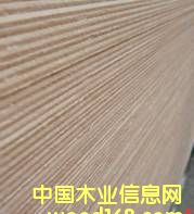 full okoume plywood��Ԕ��(x��)��B