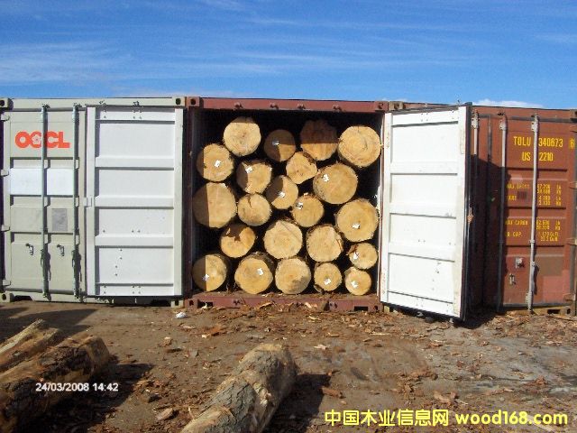 �����mݗ����ԭľ��Ԕ��(x��)��B