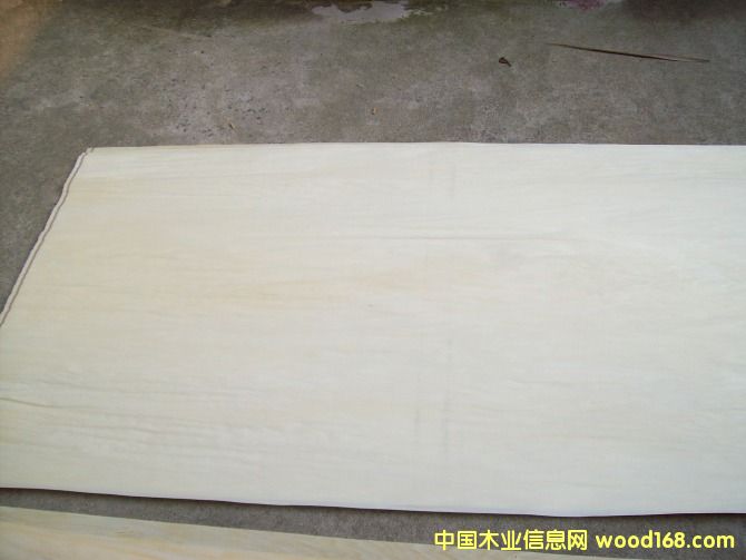 �ľ��Ƥ�����棱��Ԕ����B