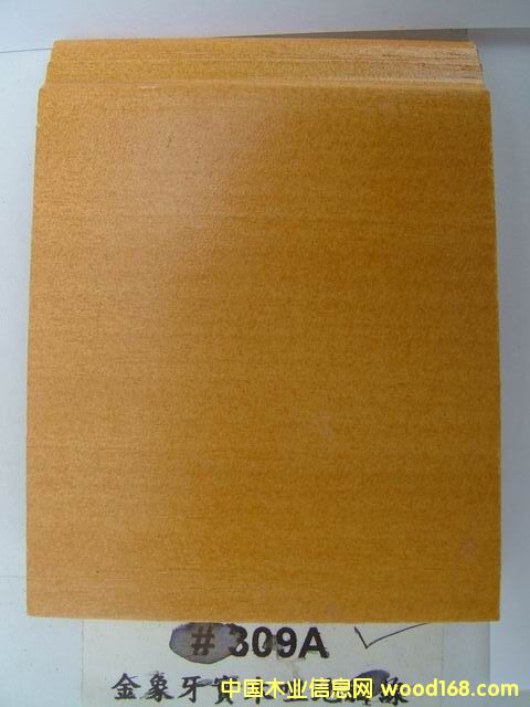 ��������(sh��)ľ�׵��_��#309A