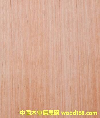 ���Ϙ�ֱ�y/�t����ֱ�y