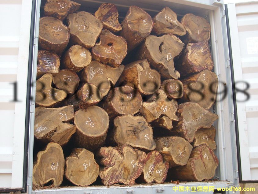 ������ ԭľKOSSO,VAIN,���ǵ�һ�ֹ���(y��ng)��