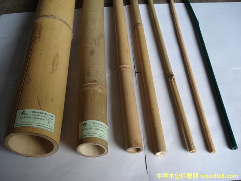 ��Ͳϵ��original bamboo