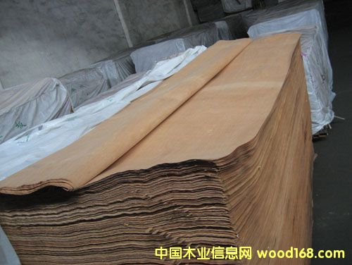 �t�ϙ���Ƥ/�ΰ�