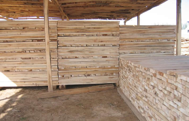 ��ľ����Ԕ��(x��)��B