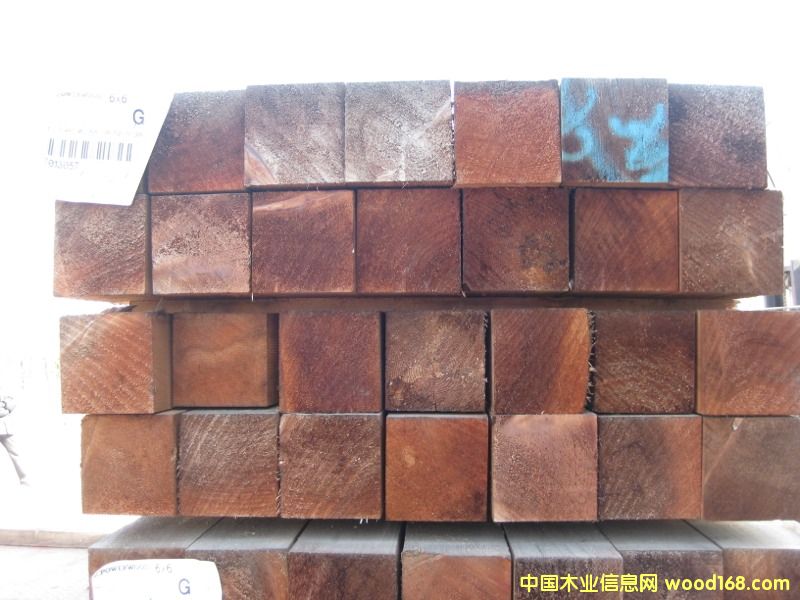 �tѩ�ɵ�Ԕ��(x��)��B