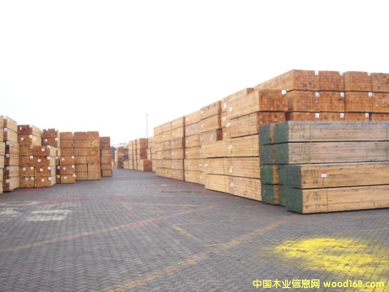 ���ô�WFP��Ԕ��(x��)��B