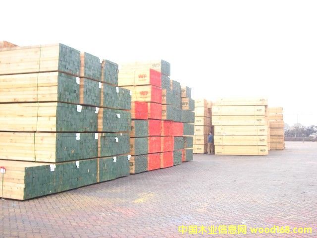 �����Fɼ��Ԕ��(x��)��B