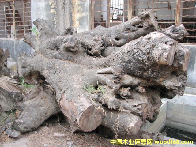 �u��ľ���Ϙ����Ԕ��(x��)��B