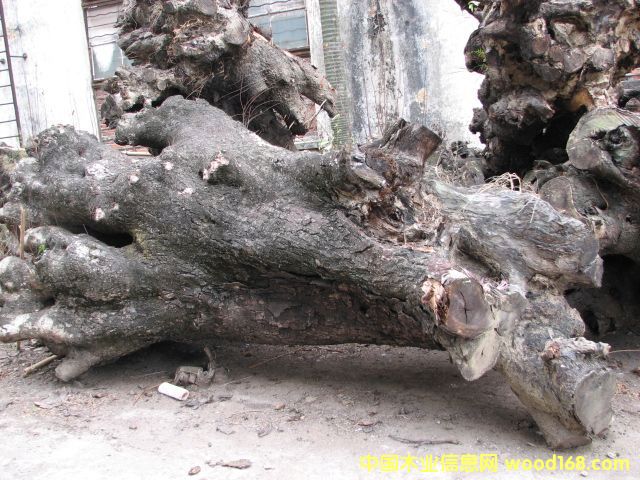 �u��ľ���Ϙ����Ԕ��(x��)��B