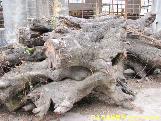 �u��ľ�ψ���Ԕ��(x��)��B