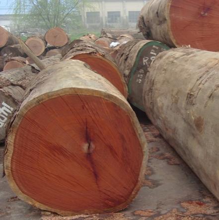 ԭľ-ֱ����Ԕ��(x��)��B