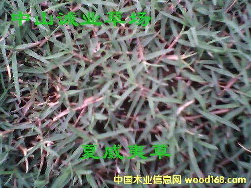 �����Ĳ�