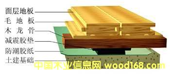 ��ľ�w���ذ��Ԕ��(x��)��B