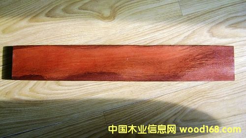 ���P̴��Ԕ��(x��)��B