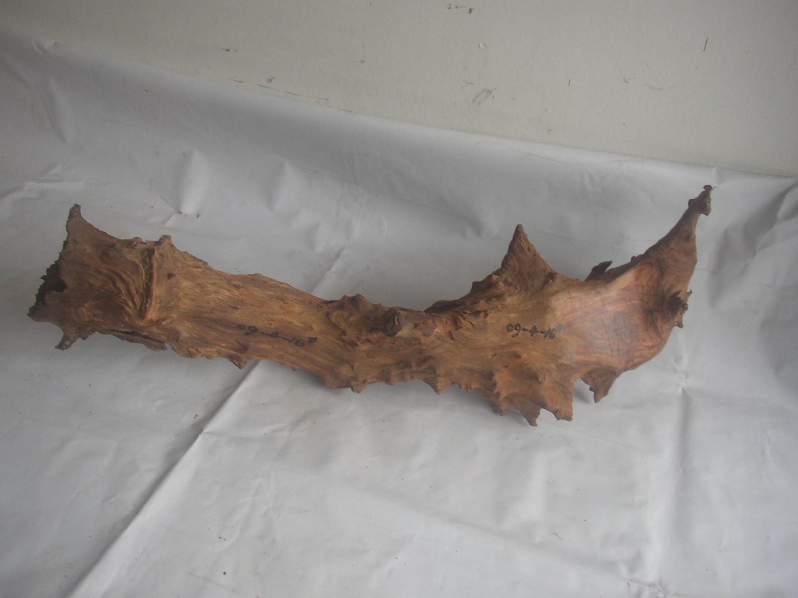 �����S����09-4-16#��Ԕ��(x��)��B