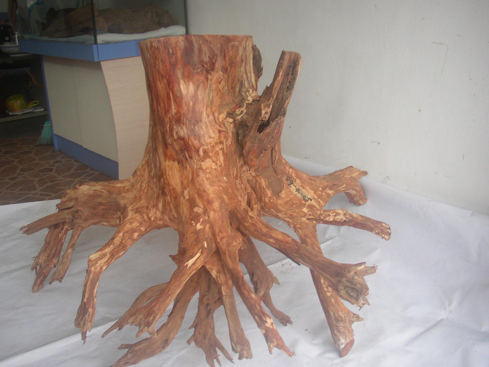 �����S����09-4-2#��Ԕ��(x��)��B