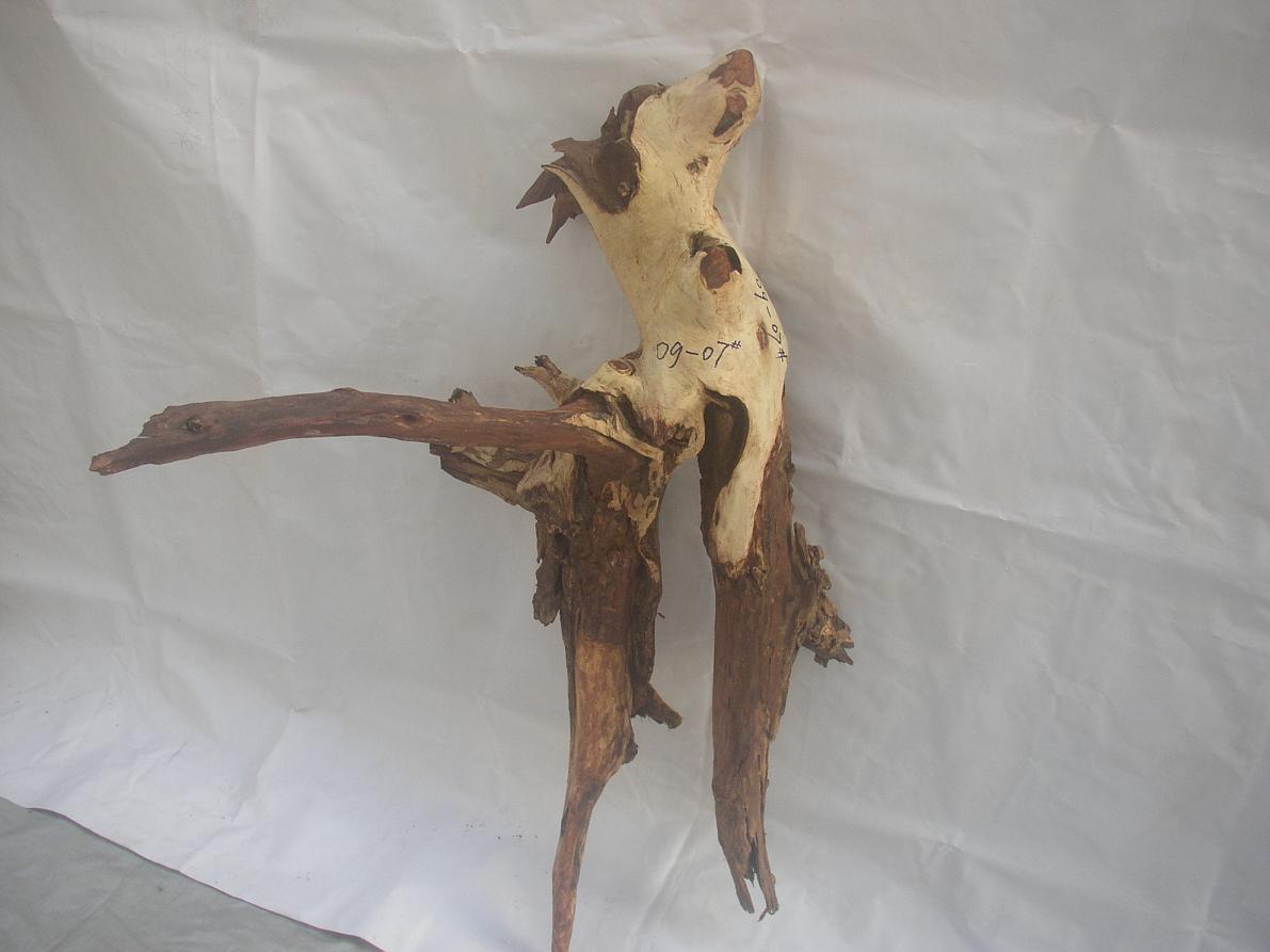 �����S����09-4-17#��Ԕ��(x��)��B