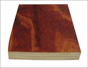 ľģ���Ԕ��(x��)��B