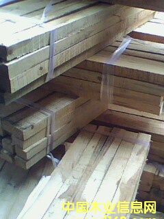 ���ϵ�Ԕ��(x��)��B