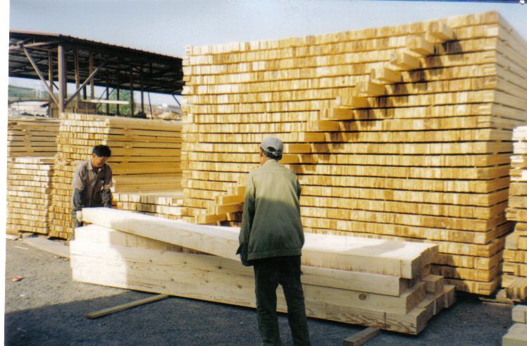 ����ľ����������ľë�ϵ�Ԕ��(x��)��B