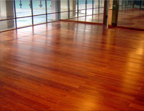 ����ذ��Ԕ����B