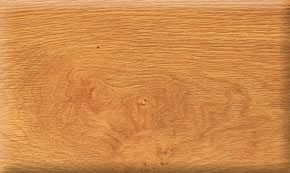 ���������Ԕ����B